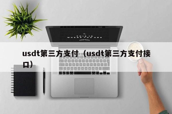 usdt第三方支付(usdt第三方支付接口)